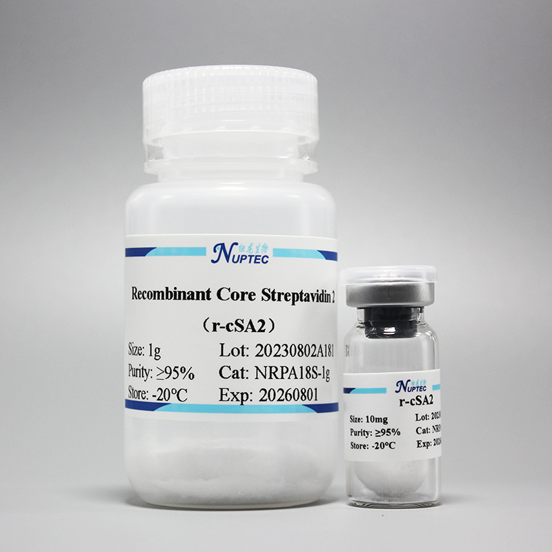 Recombinant Core Streptavidin 2