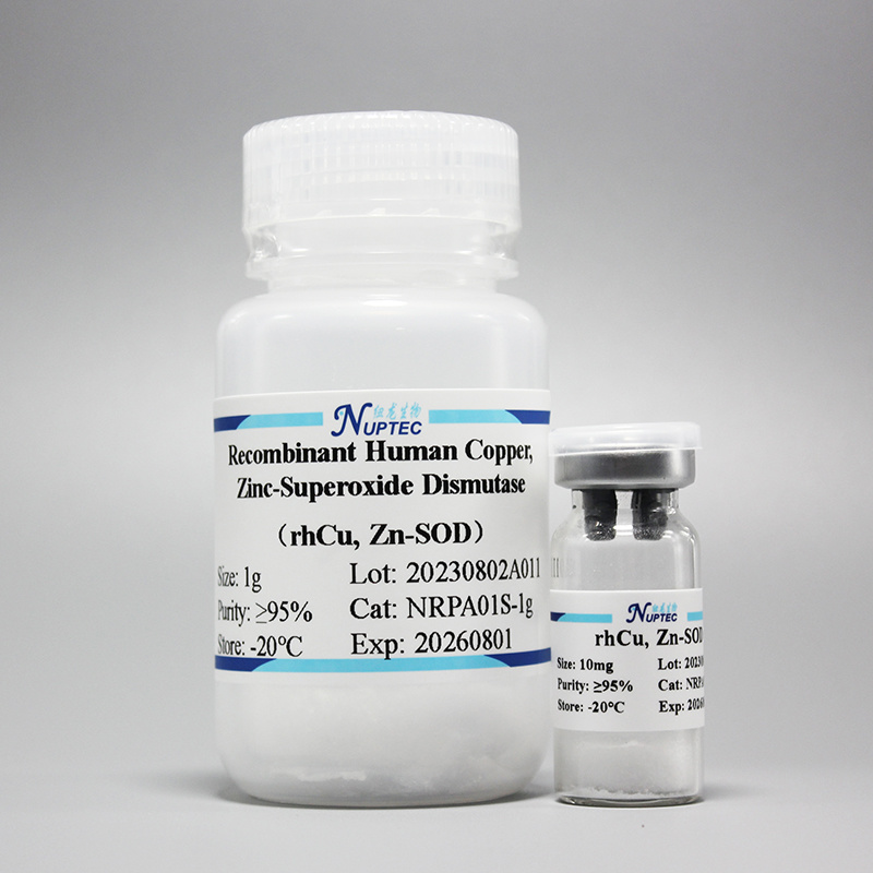 Recombinant Human Copper Zinc Superoxide Dismutase