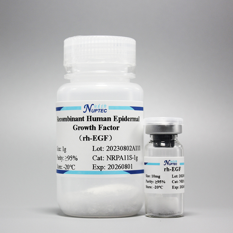 Recombinant human epidermal growth factor