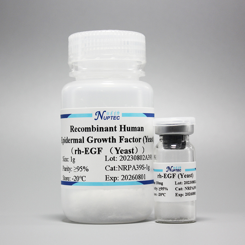 Recombinant Human Epidermal Growth Factor (Yeast)