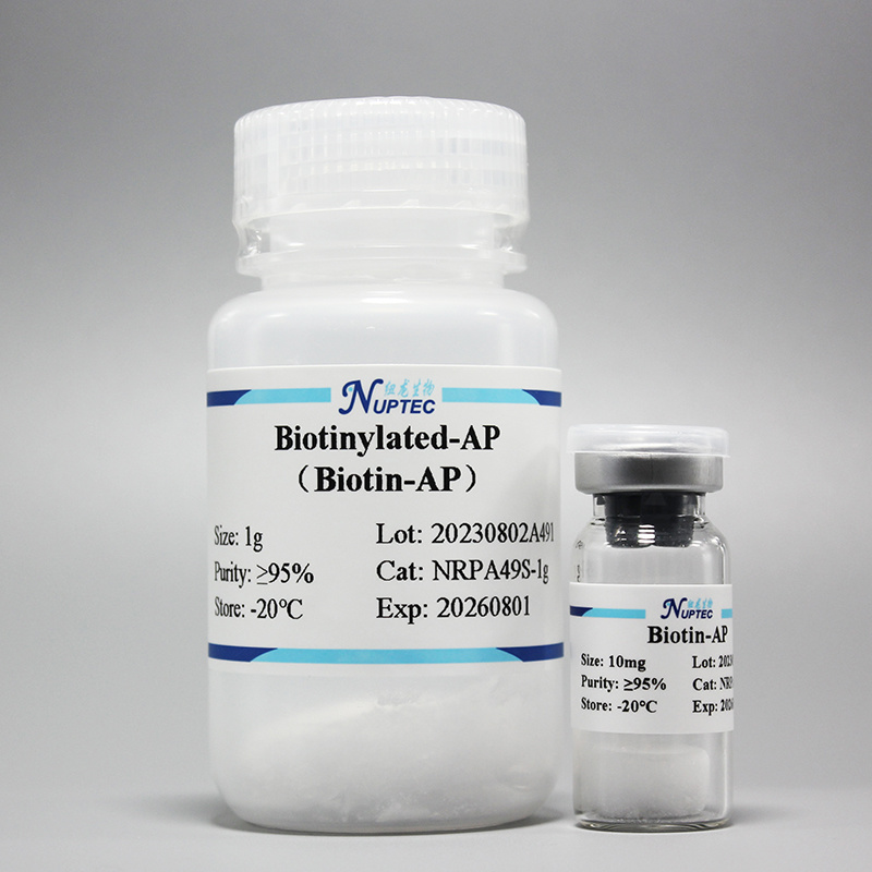 Biotinylated alkaline phosphatase