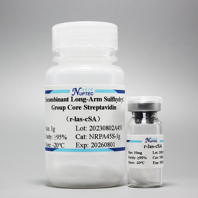 Recombinant long-arm thiol-core streptavidin