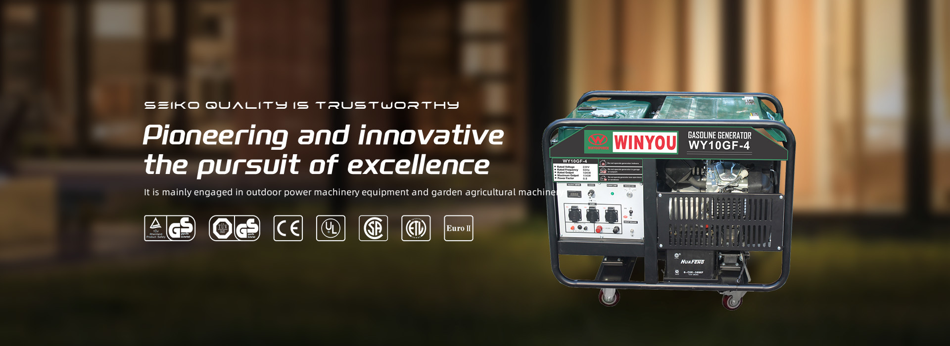 Chongqing Winyou Power Co., Ltd.