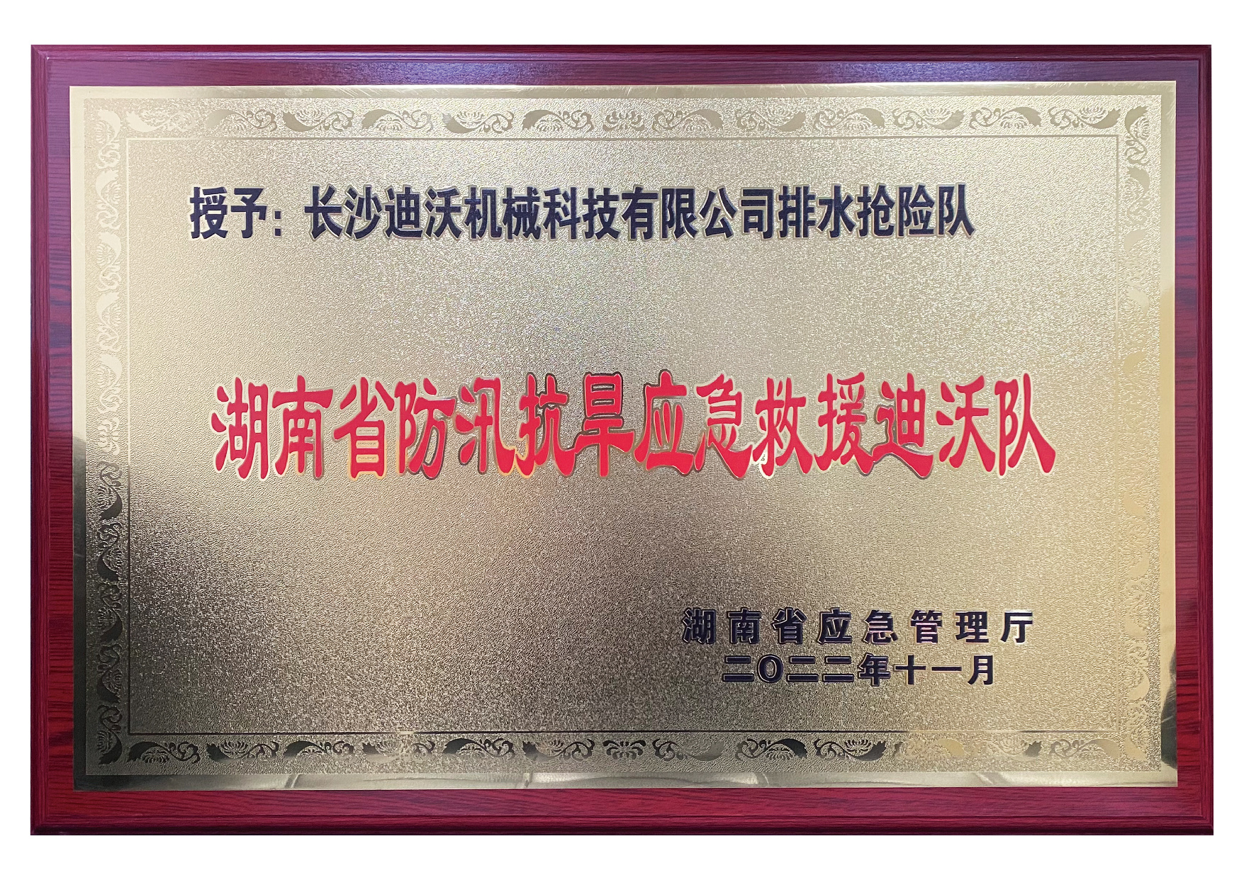 湖南省應(yīng)急管理廳授牌救援隊 湖南省應(yīng)急管理廳授牌救援隊