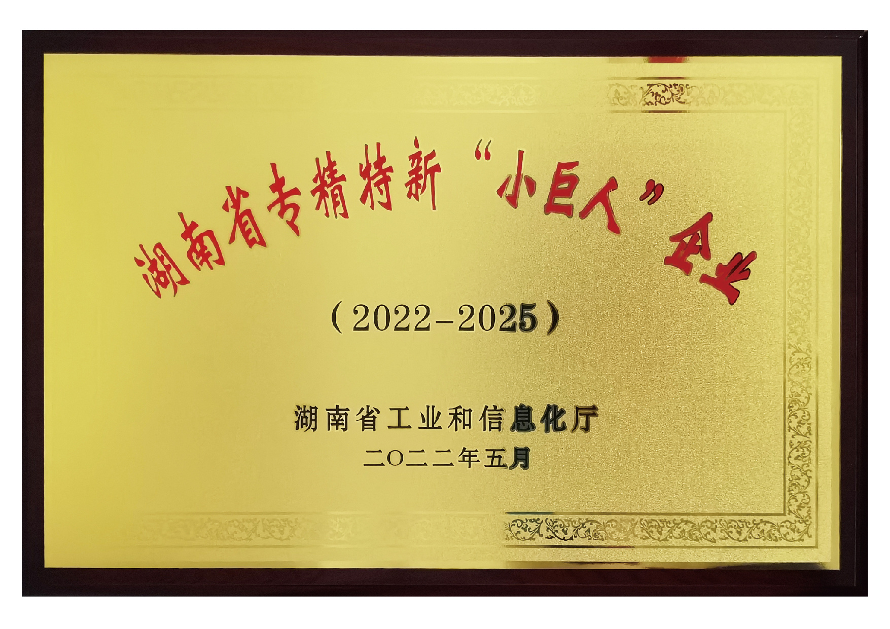 湖南省“小巨人”企業(yè) 湖南省“小巨人”企業(yè)
