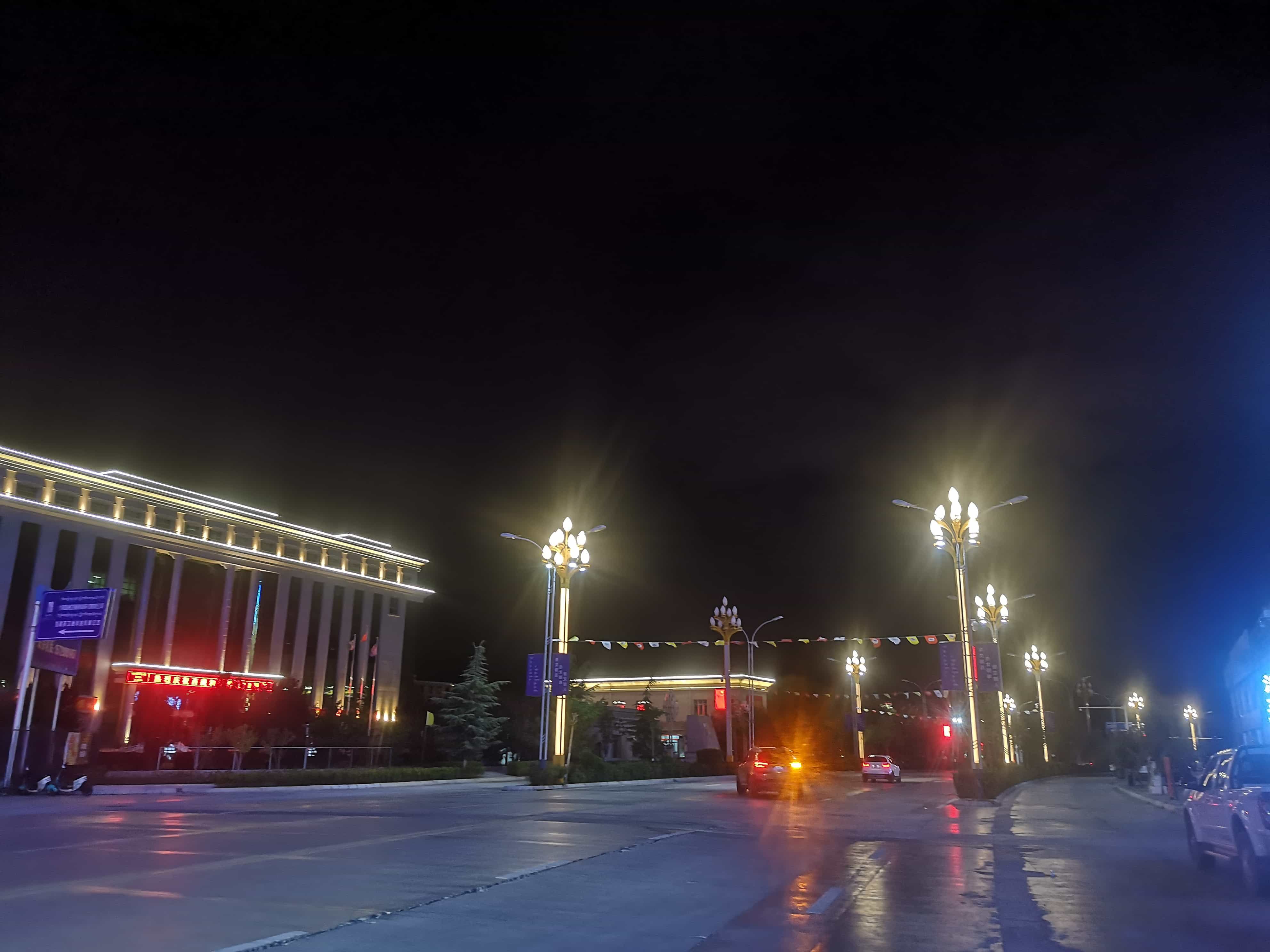 Lhasa high tech Zone 12 meters wisdom street lamp-Magnolia lamp Lhasa high tech Zone 12 meters wisdom street lamp-Magnolia lamp