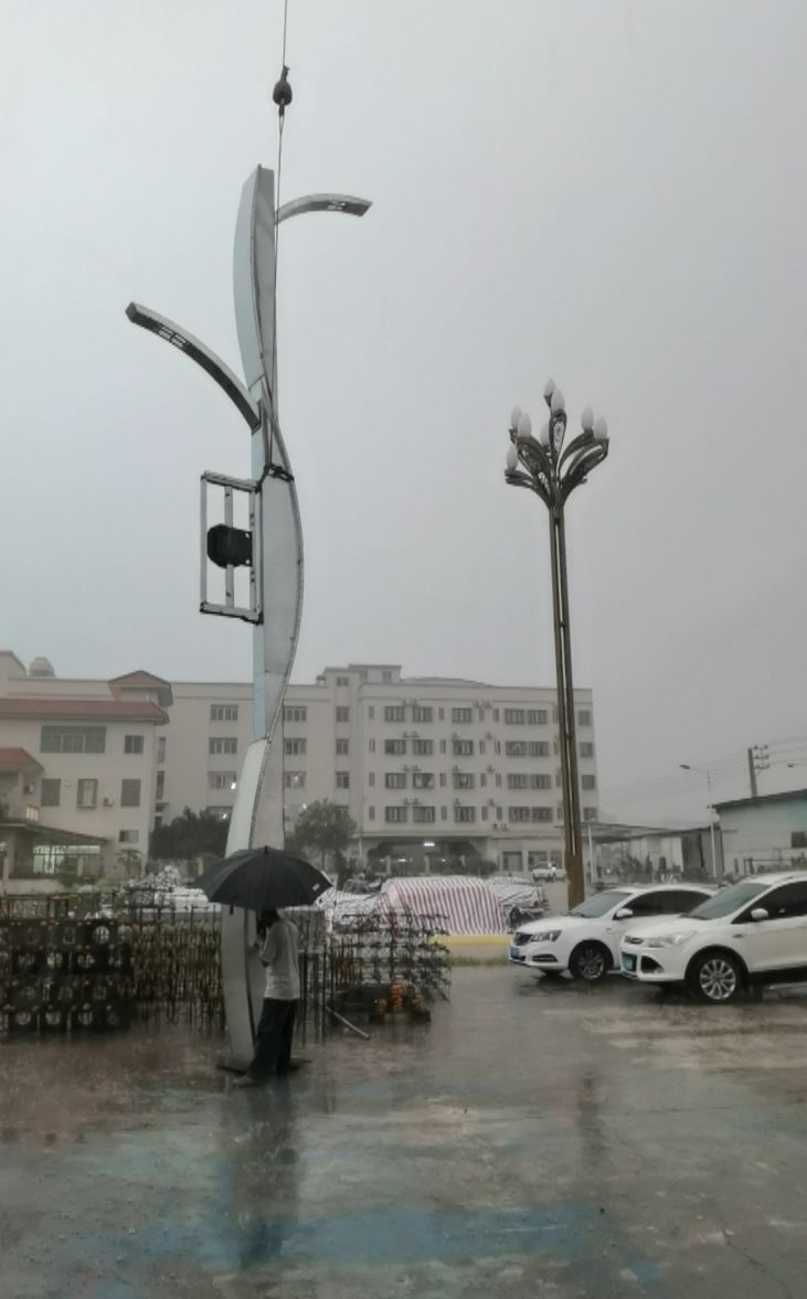Lhasa high tech Zone 12 meters wisdom street lamp-wisdom street lamp Lhasa high tech Zone 12 meters wisdom street lamp-wisdom street lamp