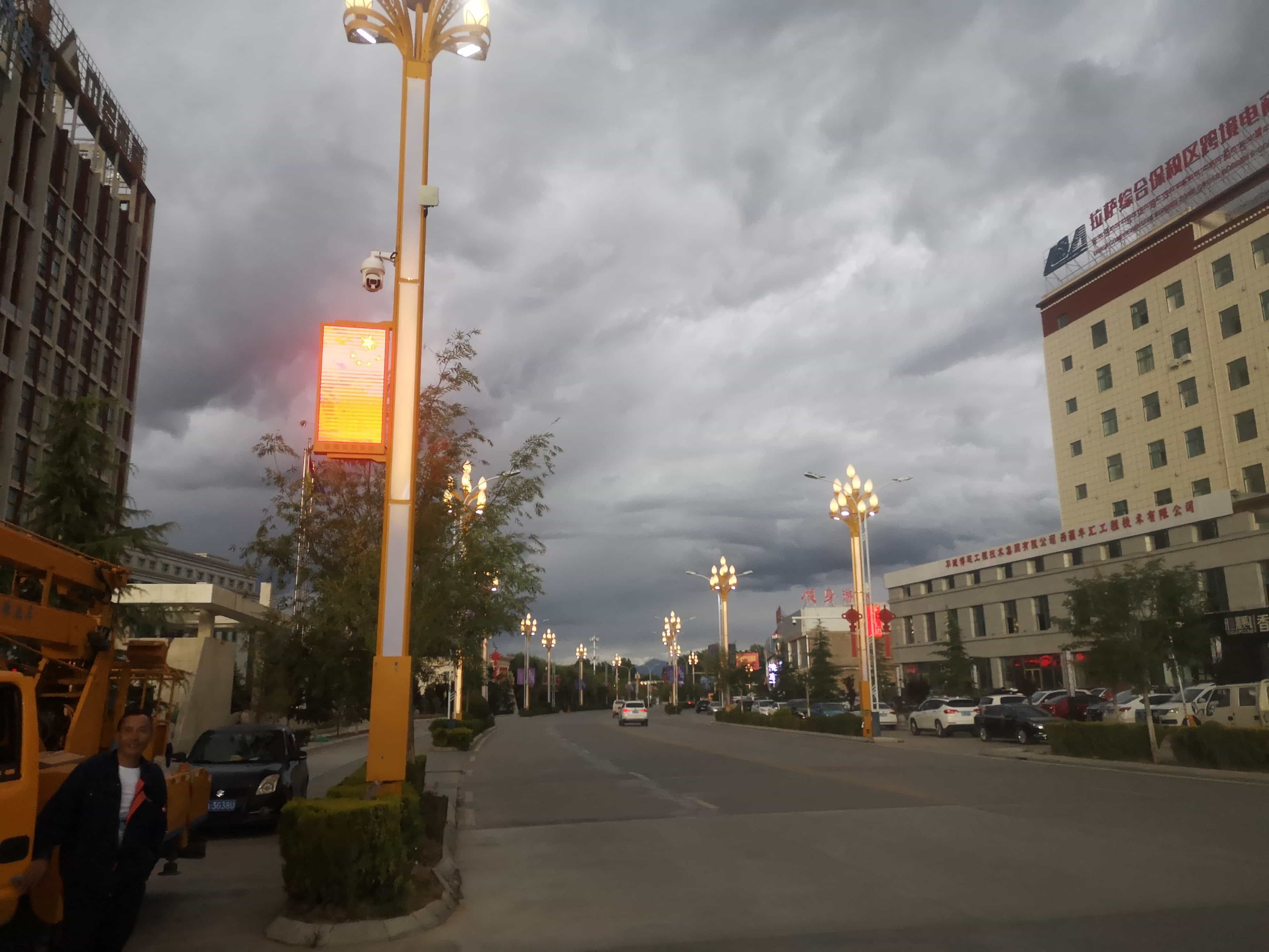 Lhasa high tech Zone 12 meters wisdom street lamp-Magnolia lamp Lhasa high tech Zone 12 meters wisdom street lamp-Magnolia lamp