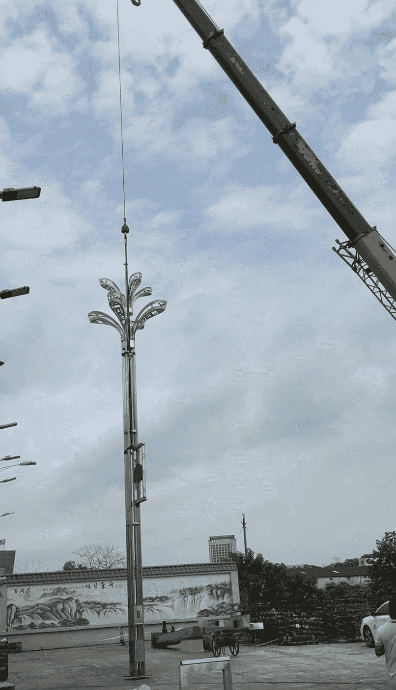 Lhasa high tech Zone 12 meters wisdom street lamp-Magnolia lamp Lhasa high tech Zone 12 meters wisdom street lamp-Magnolia lamp