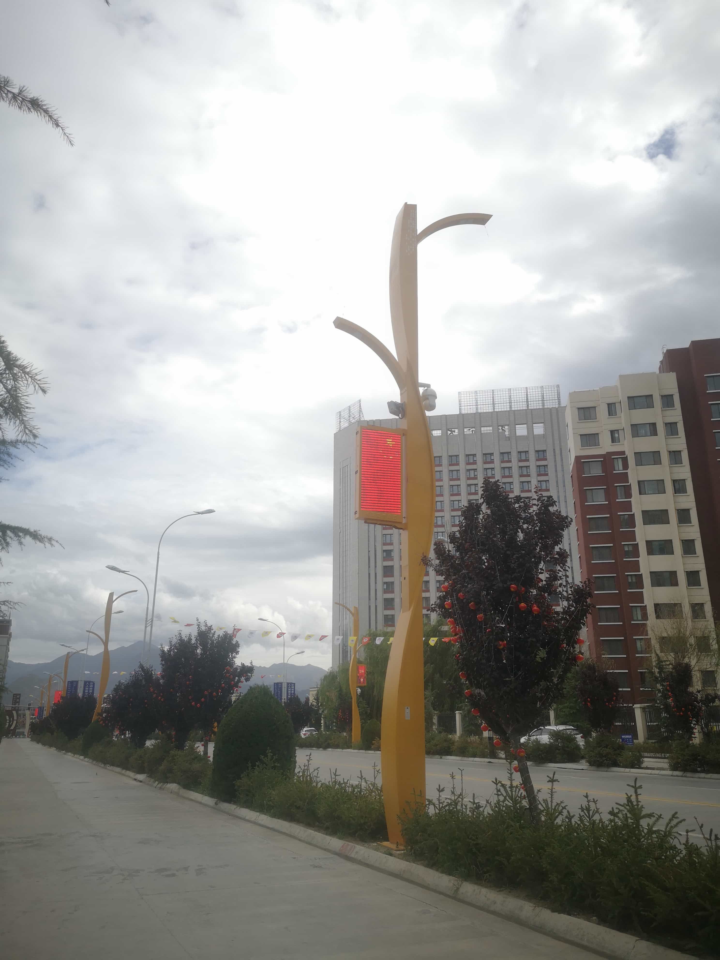 Lhasa high tech Zone 12 meters wisdom street lamp-wisdom street lamp Lhasa high tech Zone 12 meters wisdom street lamp-wisdom street lamp
