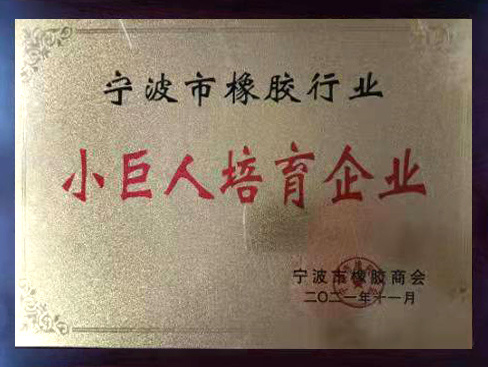资质认证6