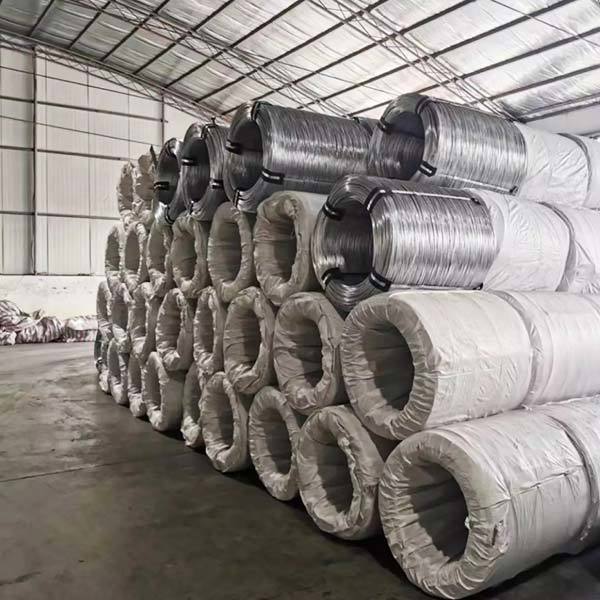 Stainless steel wire