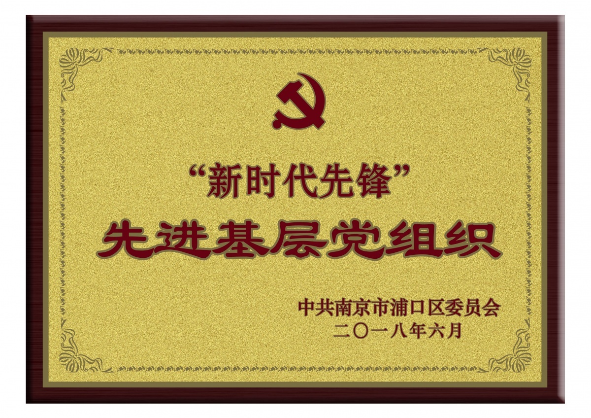 以黨建統領 為發展聚力丨熱烈慶祝鈦能科技黨支部榮獲“新時代先鋒”稱號！