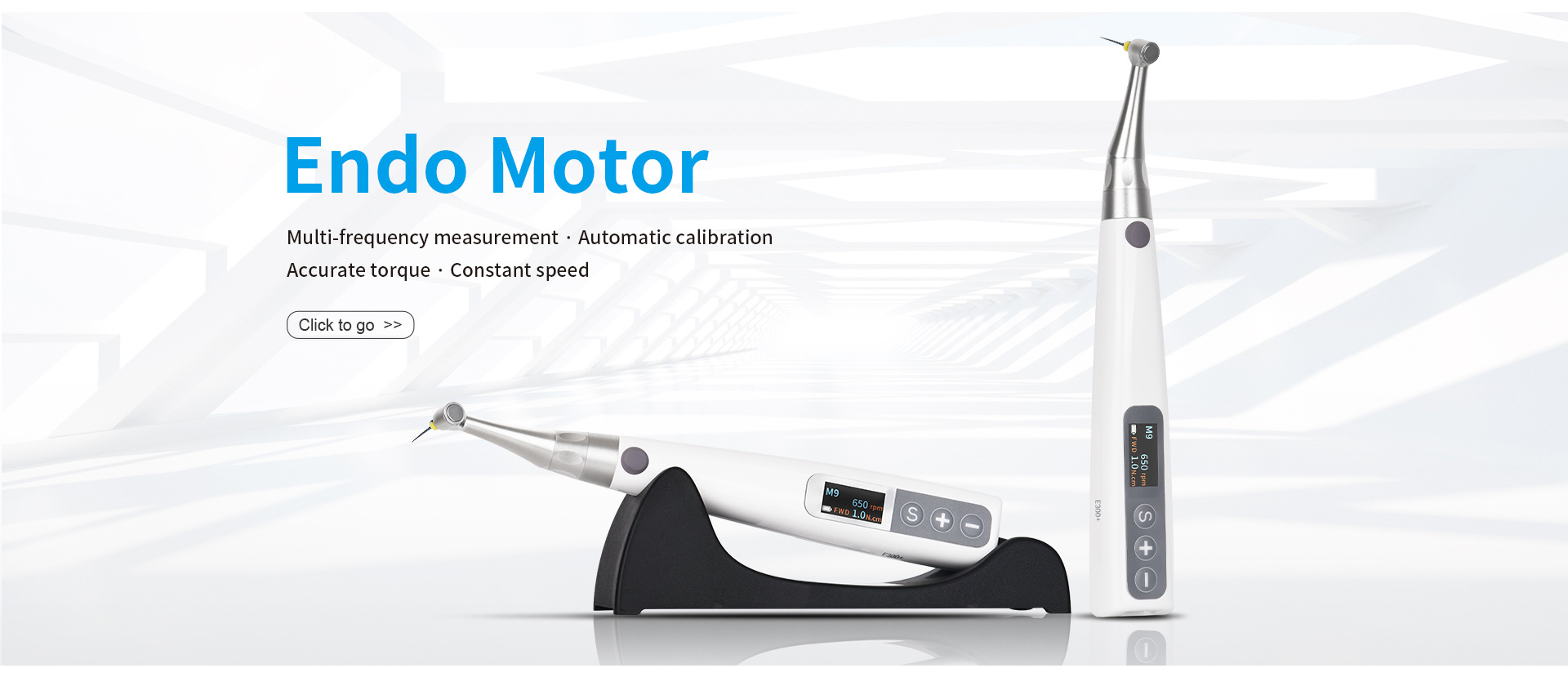 Endo Motor Endo Motor