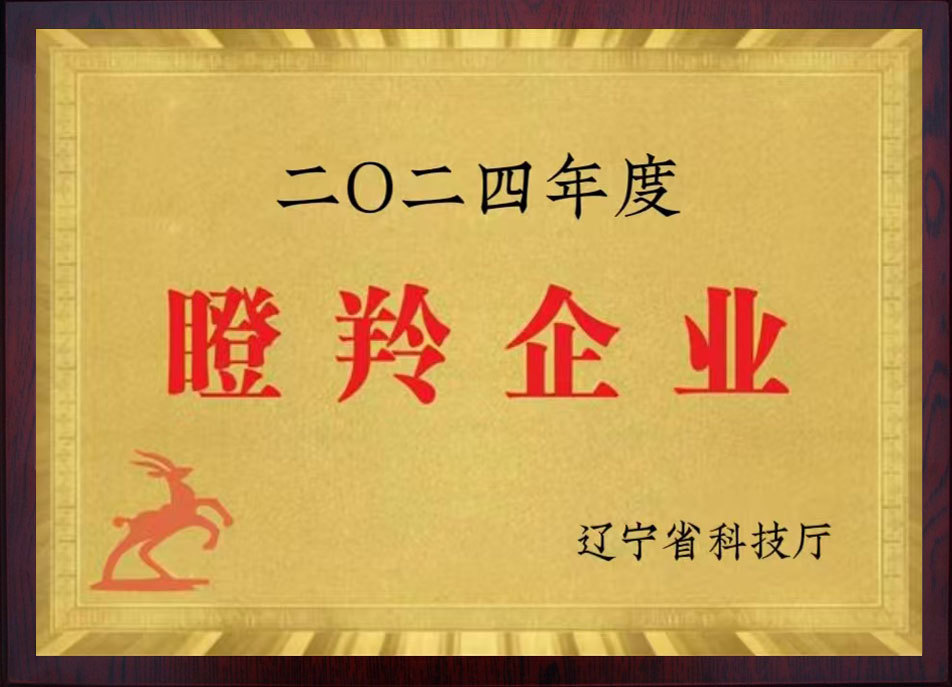 瞪羚企业 瞪羚企业