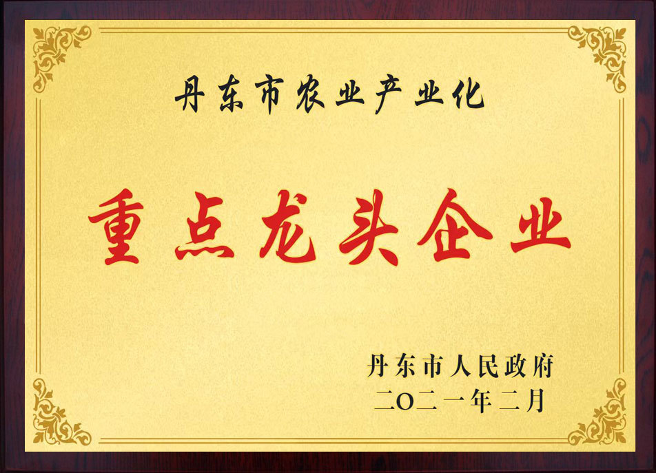 丹东市重点龙头企业 丹东市重点龙头企业