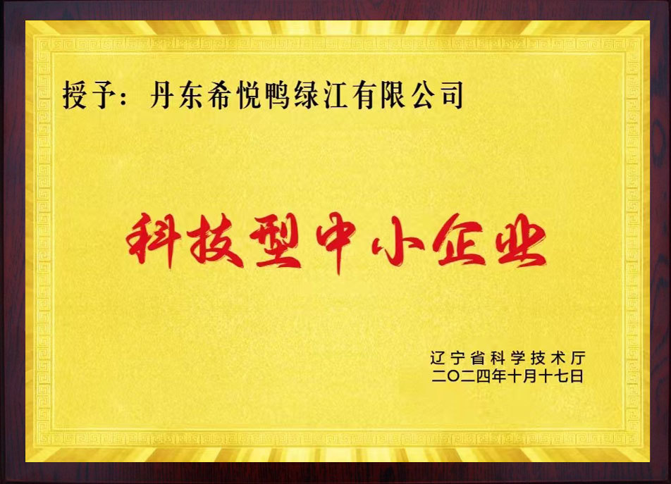 科技型中小企业 科技型中小企业