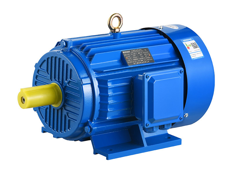 IE4 Series High Efficiency Three-phase Asynchronous Motor2