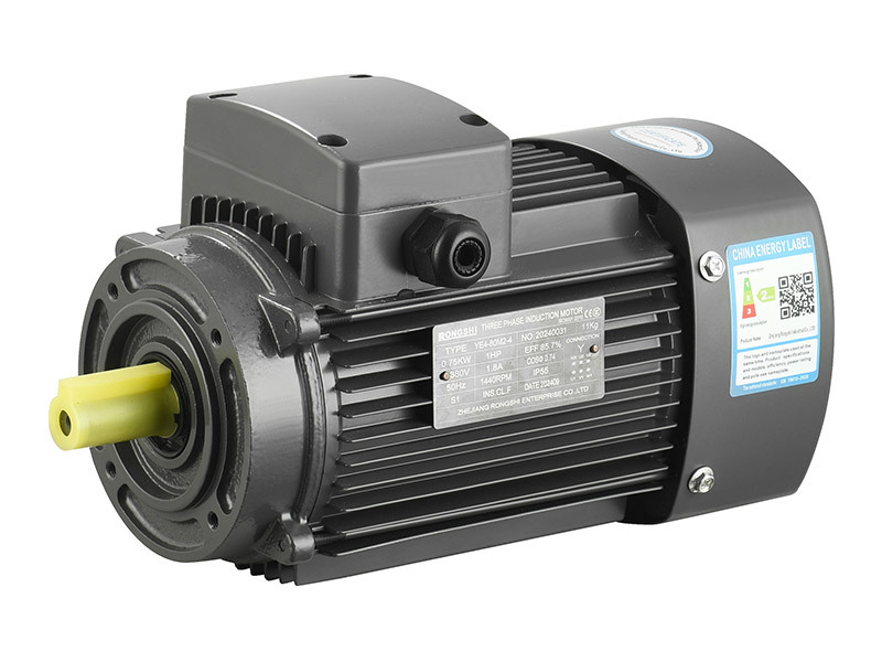 Three-phase aluminum casing pump motor2