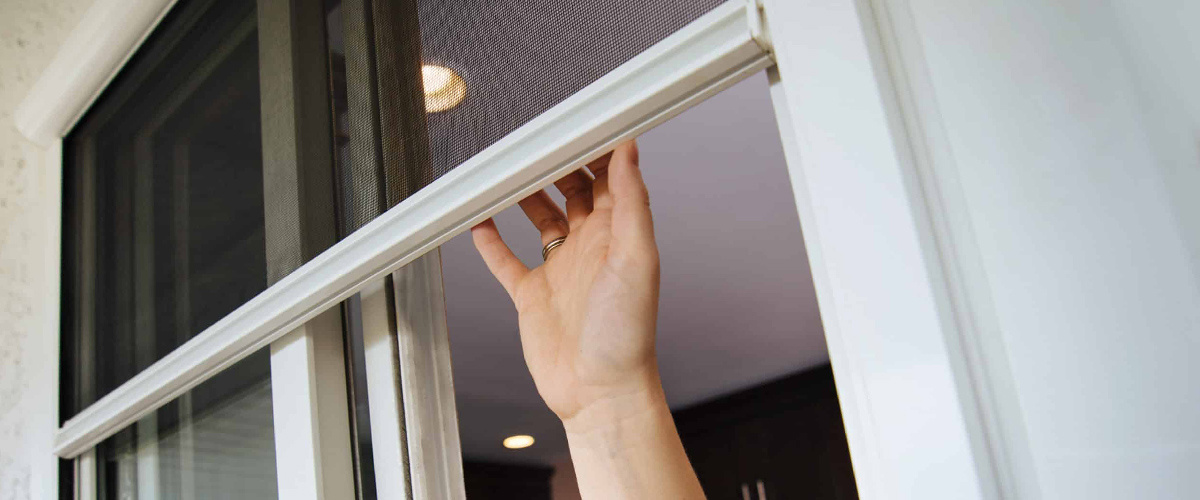 Insect Screen Window