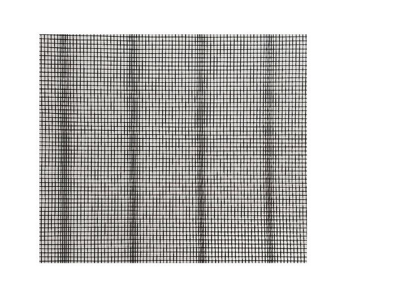 Insect Net