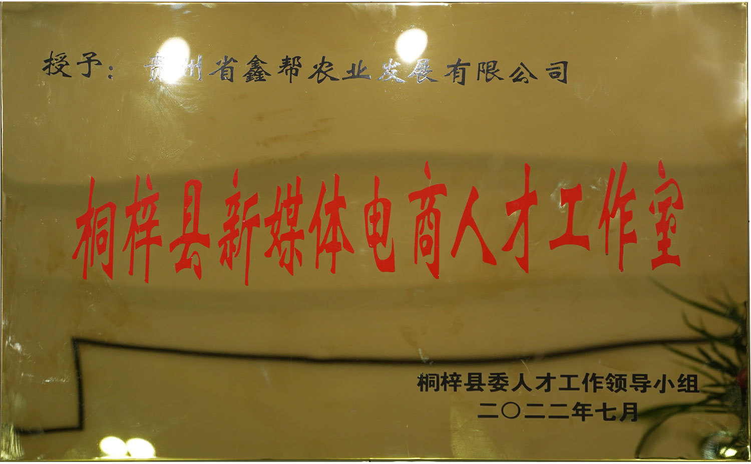 桐際縣新媒體電商人才工作室
