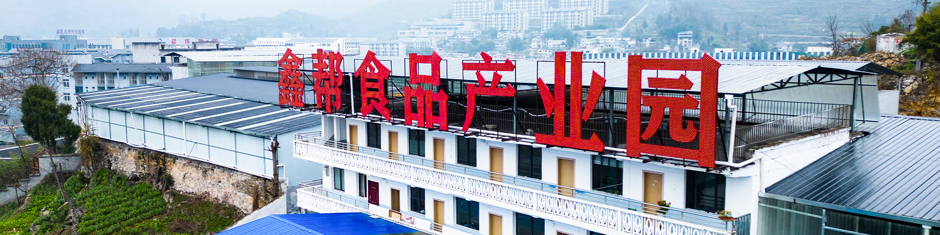 旗下產(chǎn)業(yè)