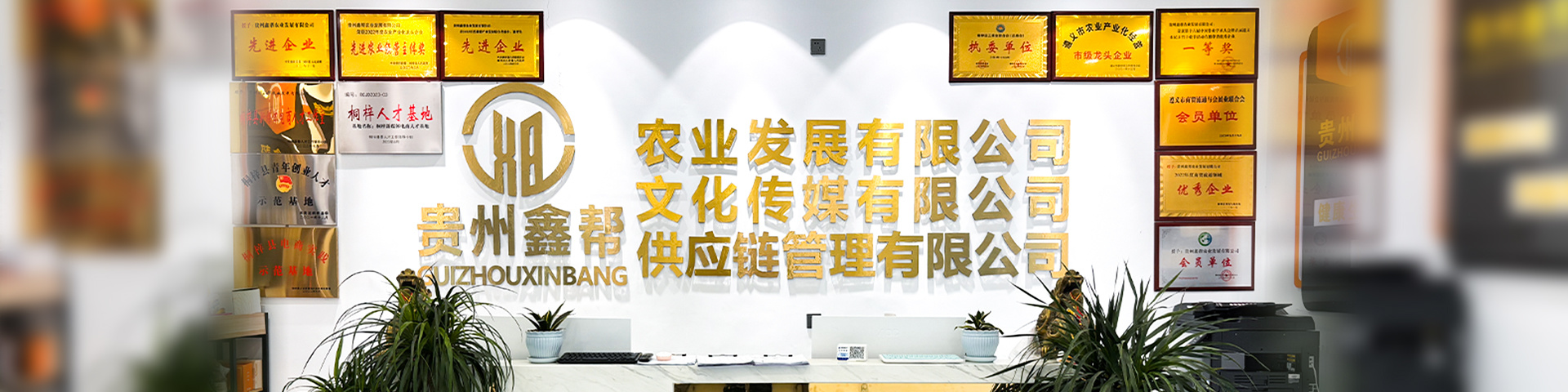 聯系我們