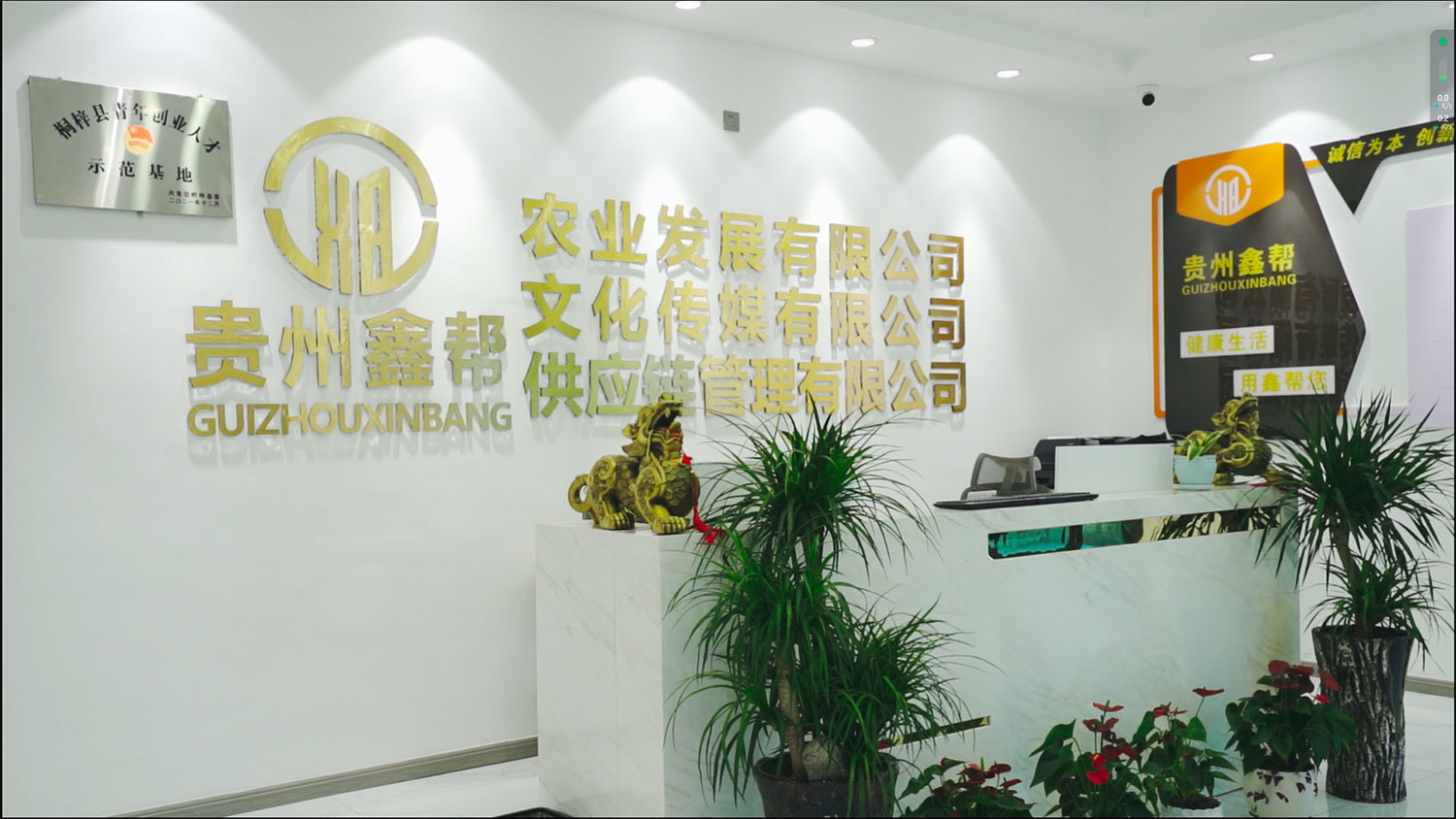 公司環(huán)境