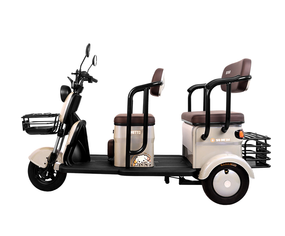 Electric Passenger Trike Modern Commuting Solution C6GT