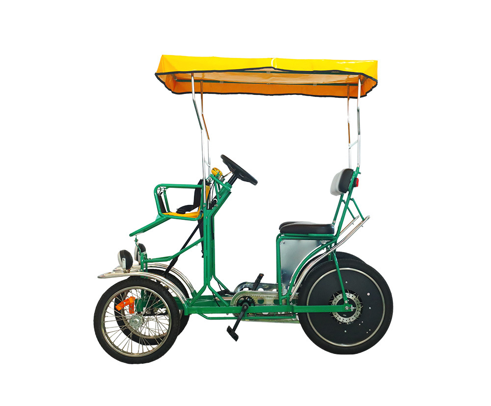 Battery-Powered Golf Cart Leisurely and Eco-Friendly Ride H12U-2