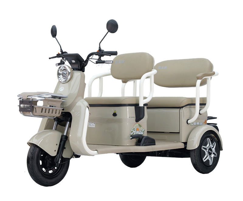 Bulk Order 800W Electric Trike Lithium Battery Electric Tricycle