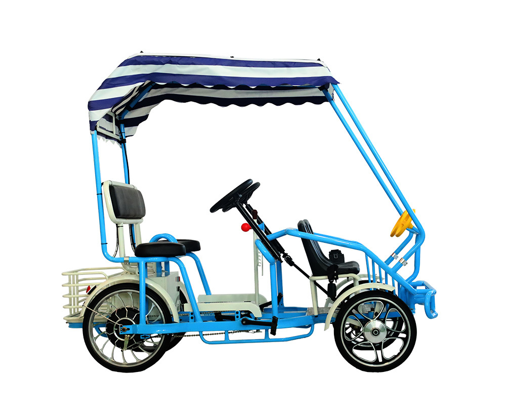 Electric Shuttle Car Comfortable Urban Commuting H12-4