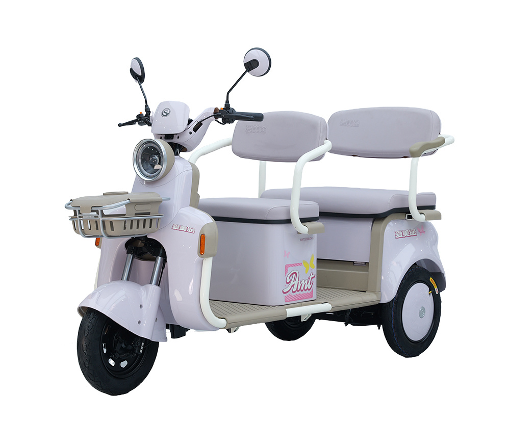2.Battery-Powered Rickshaw Sustainable Urban Transport C23