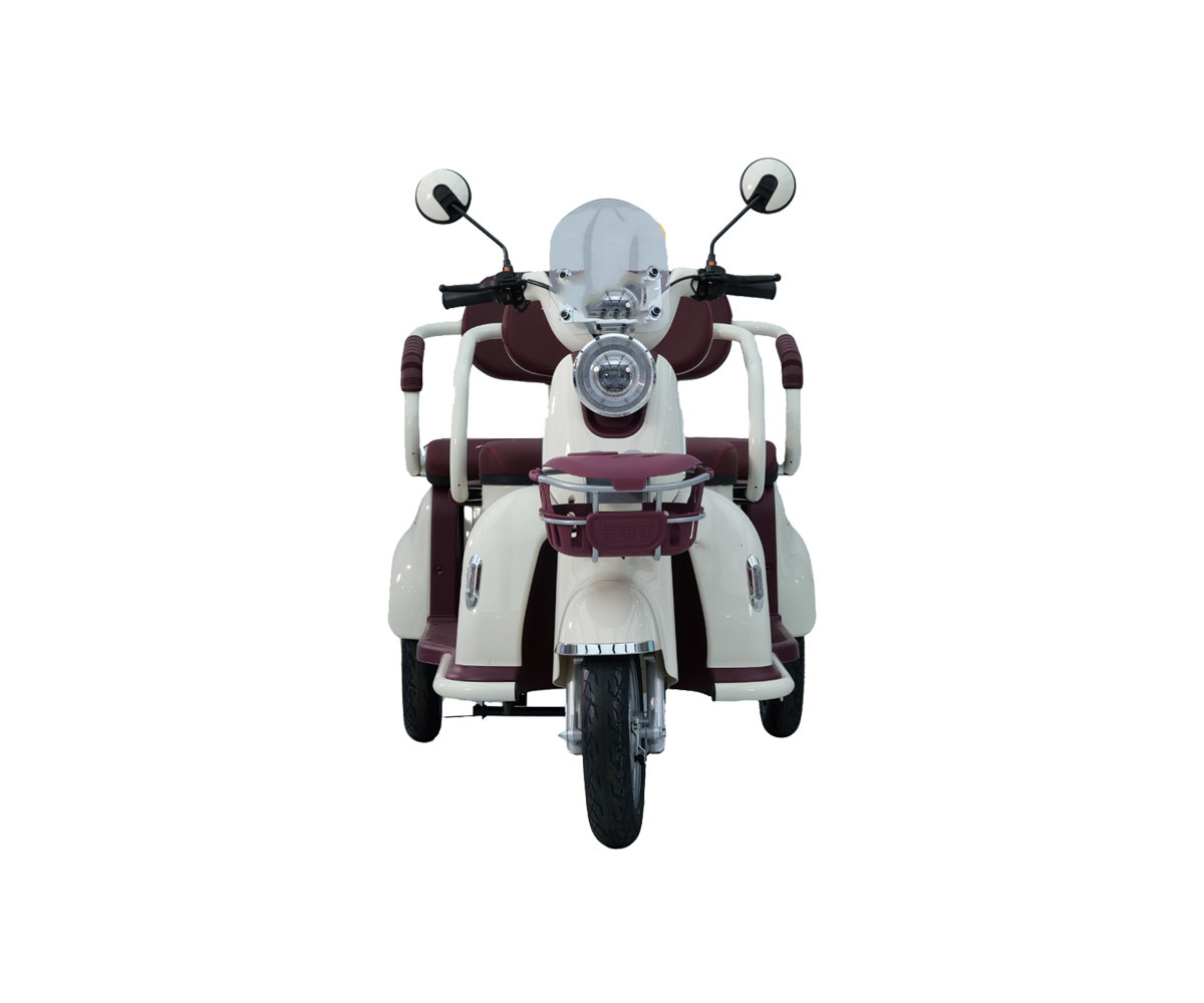 Electric Tricycles for The Handicapped Bottom Price C26