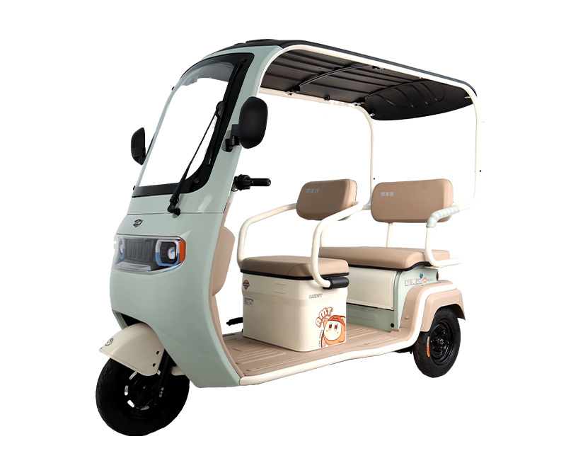 Recreational Tricycle Motorcycle Adult Electric Tricycle with Canopy A20