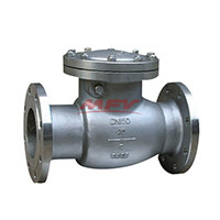 Check valve