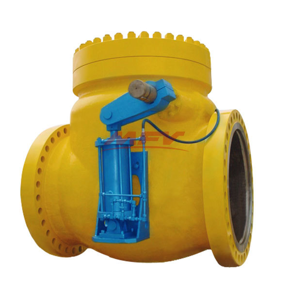 Swing check valve