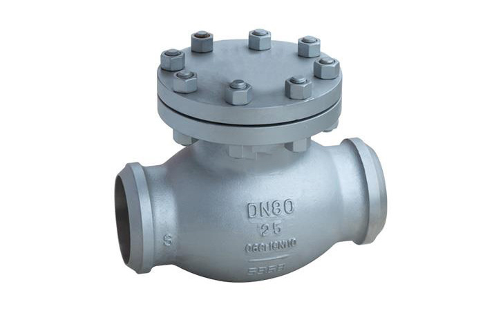 Pressure testing method for check valves