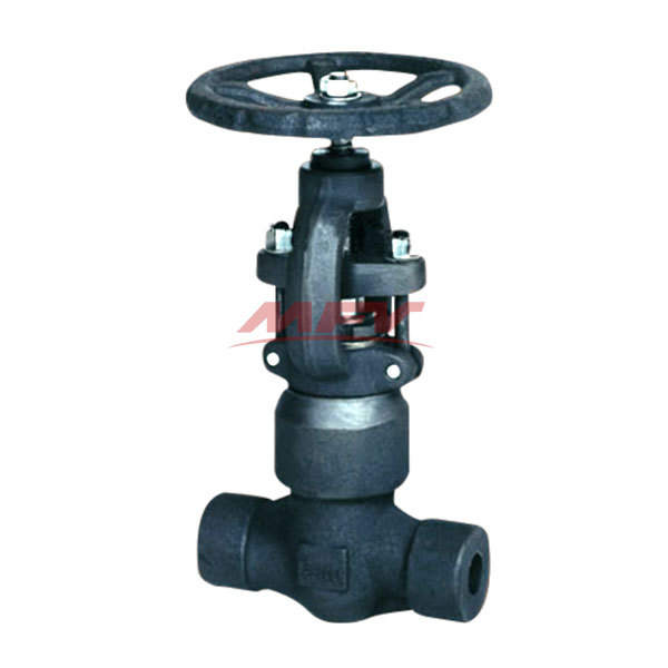 Forged steel self-sealing globe valve