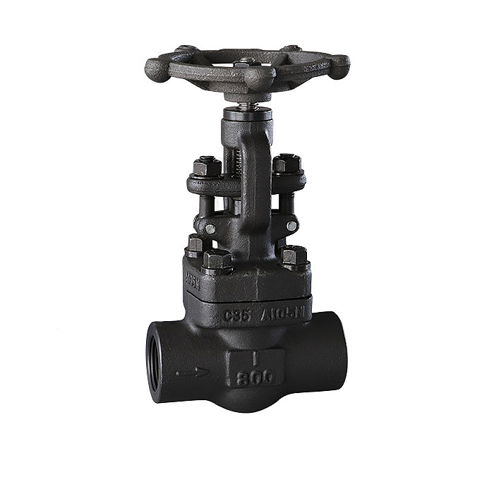 Forged steel threaded globe valve