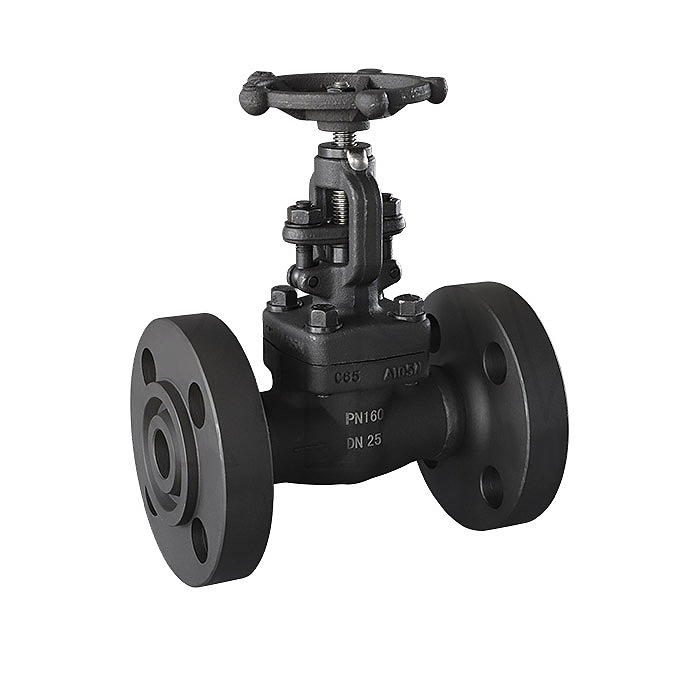 Forged steel flanged gate valve