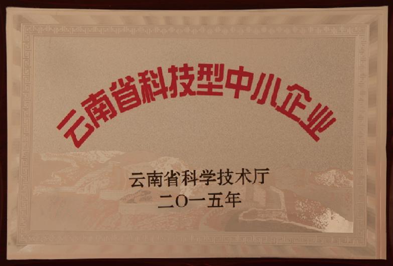 云南省科技型中小企业