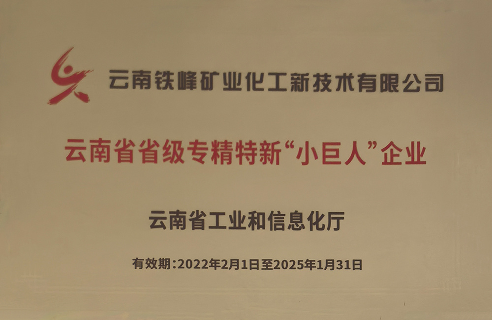 云南省省级专精特新“小巨人”企业