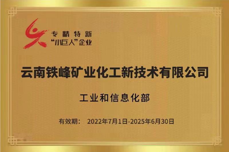 国家专精特新‘小巨人’企业