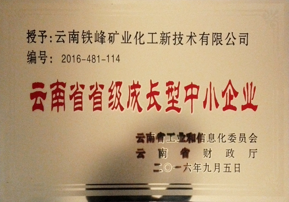 云南省省级成长型中小企业