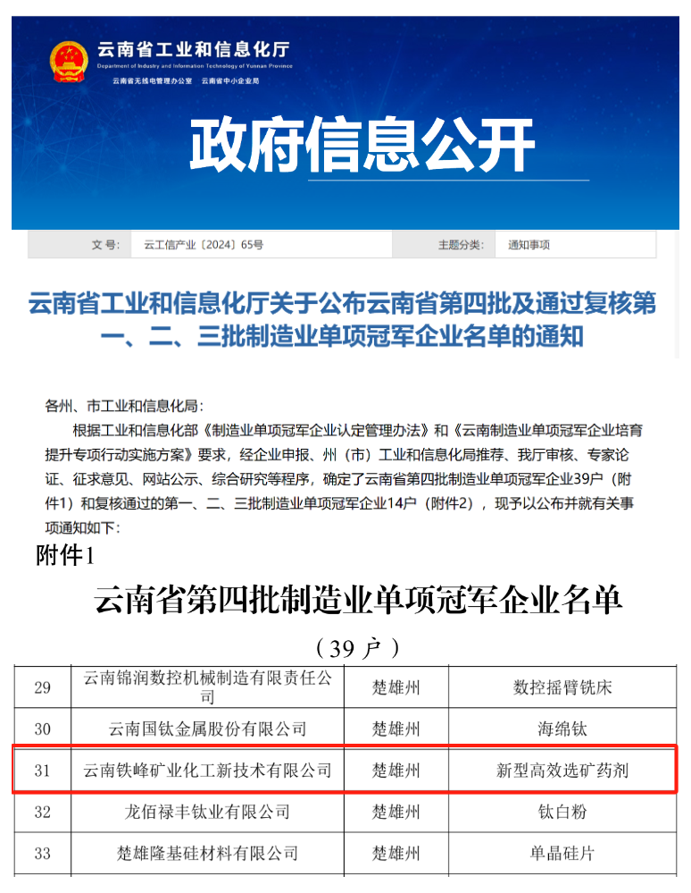 喜报！公司荣获“云南省第四批制造业单项冠军企业”