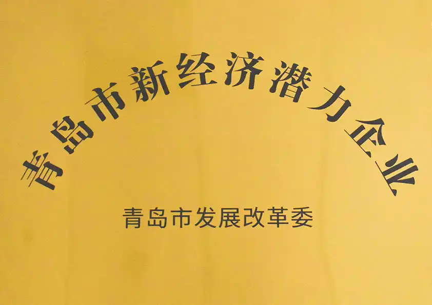 青島市新經(jīng)濟(jì)潛力企業(yè) 青島市新經(jīng)濟(jì)潛力企業(yè)
