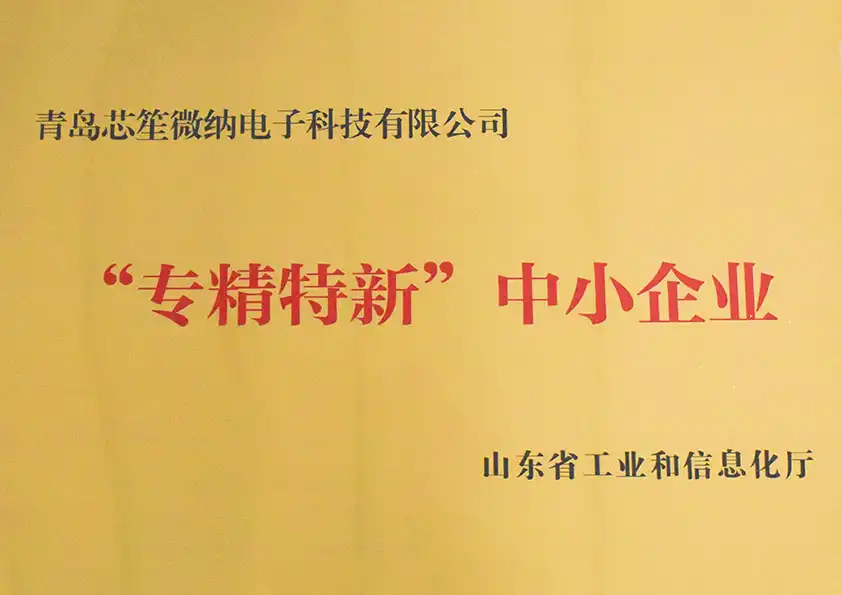 專精特新中小企業(yè) 專精特新中小企業(yè)