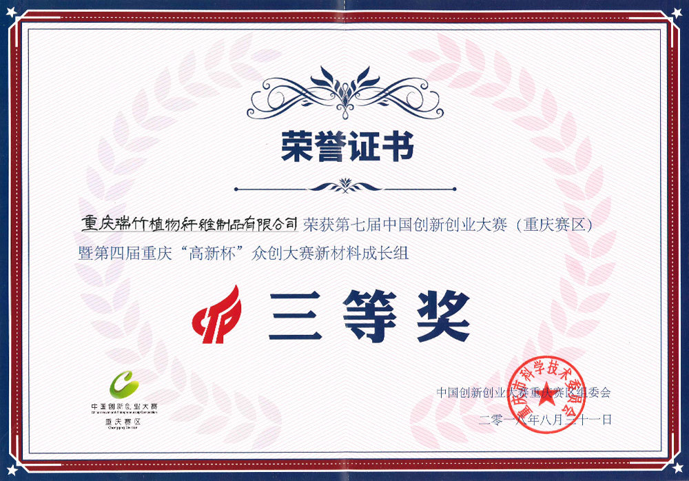 Innovation and Entrepreneurship Competition Chongqing Division Third Prize